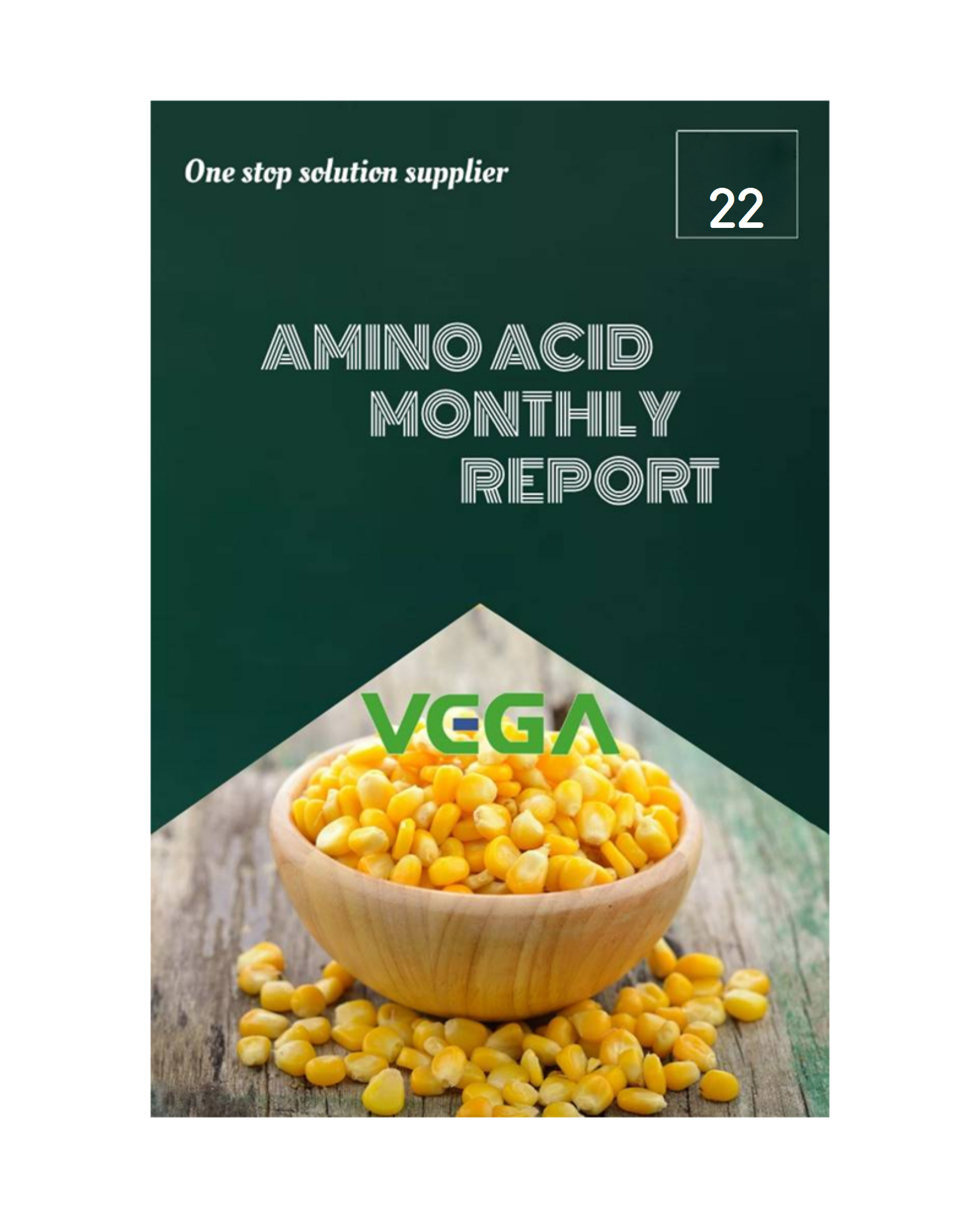 Amino Acid Monthly Report Dec. 2022-VEGA_01.png